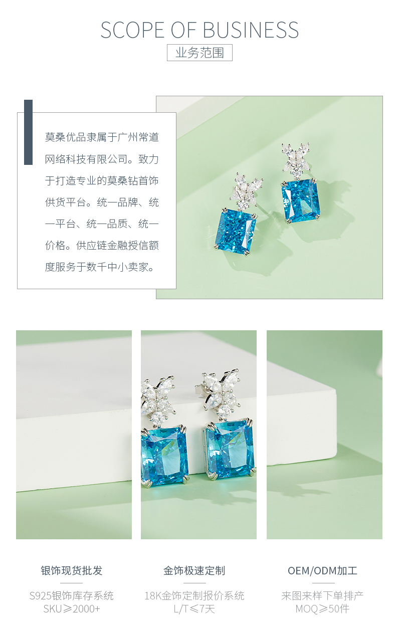 ES03154A1款S925银镀白金高碳钻耳环冰花切蓝色12*14mm长方 - 3