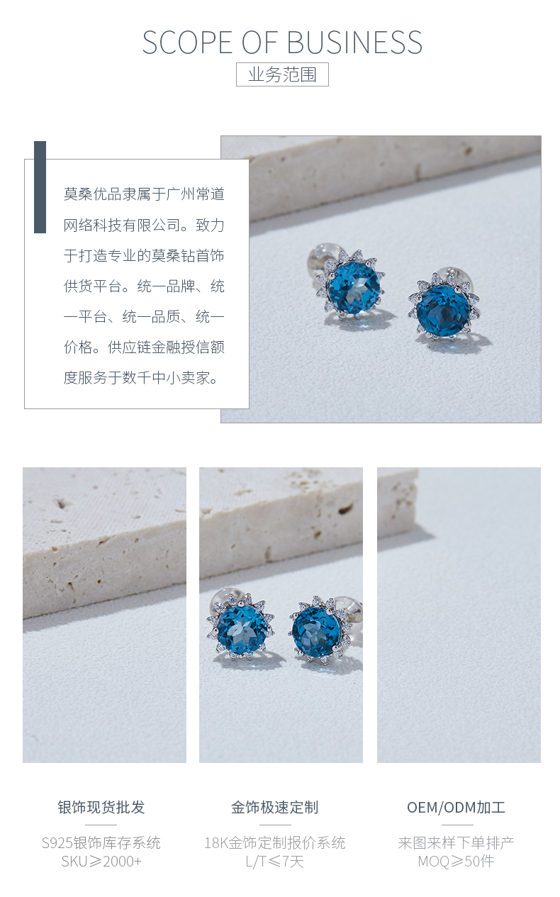 304192/E43484K-2 S925款S925银镀18K白金天然蓝水晶耳钉主石6.0mm - 3