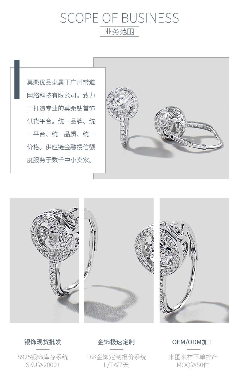 ES00713A1款S925银镀白金简约灵动锆石耳环 - 3