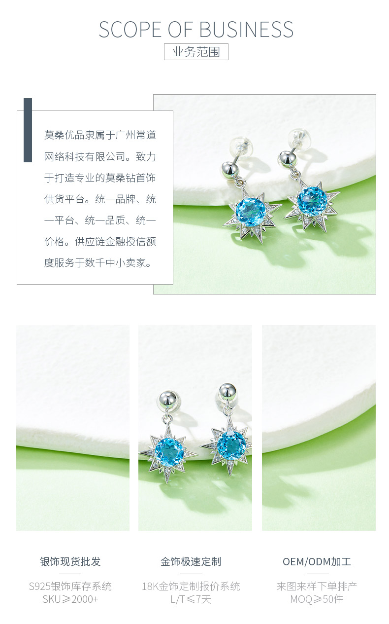 303797/E39829K-7S925款S925银镀18K白金天然蓝水晶耳钉主石6.0mm - 3