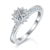 港码15