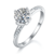 港码15