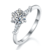 港码15