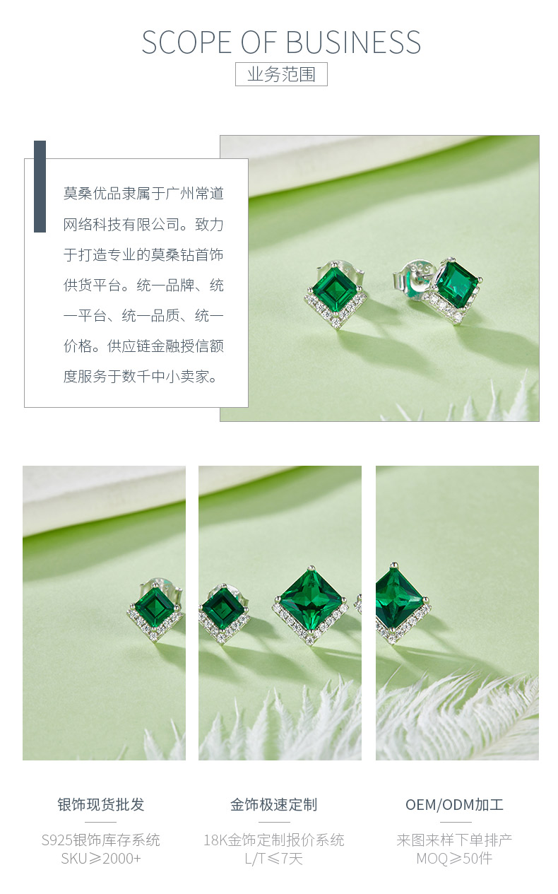 E2020866 公主方培育祖母绿S925银镀白金耳环 - 3