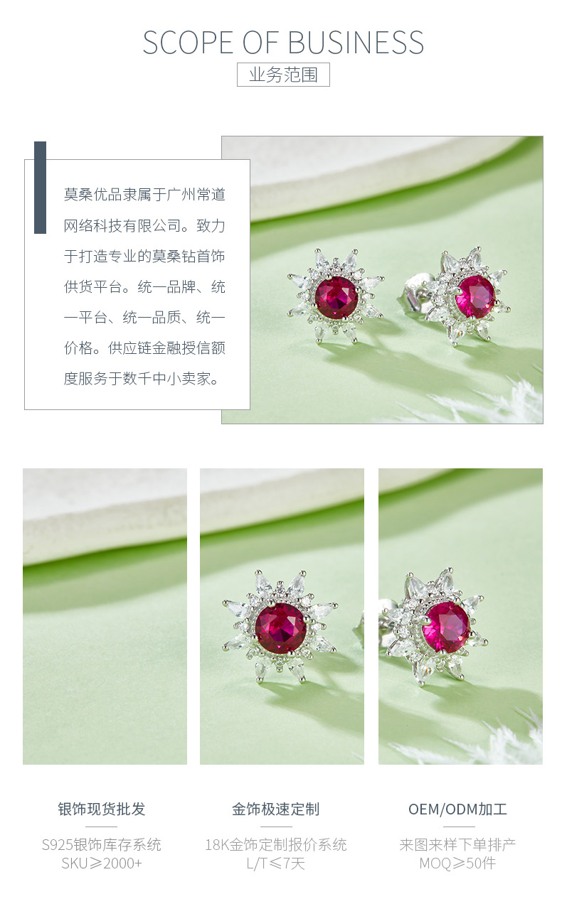 E1641R 圆形培育红宝石S925银镀白金耳环主石5mm/1.0CT - 3
