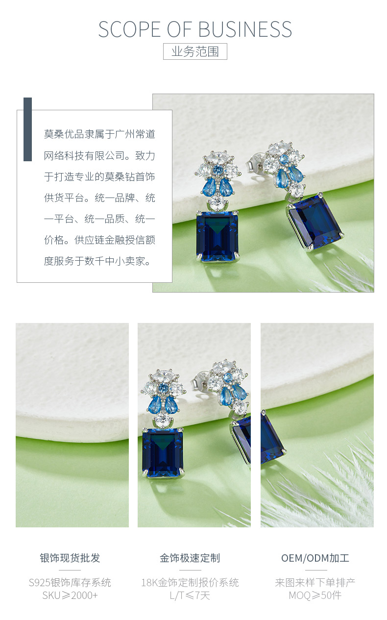 E1454DB长方培育蓝宝石S925银镀白金耳环主石10*8mm/8.0CT - 3