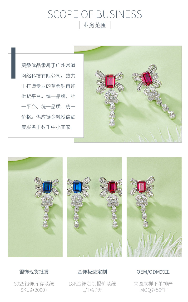 E1479 长方培育彩宝S925银镀白金耳环4.0CT - 3