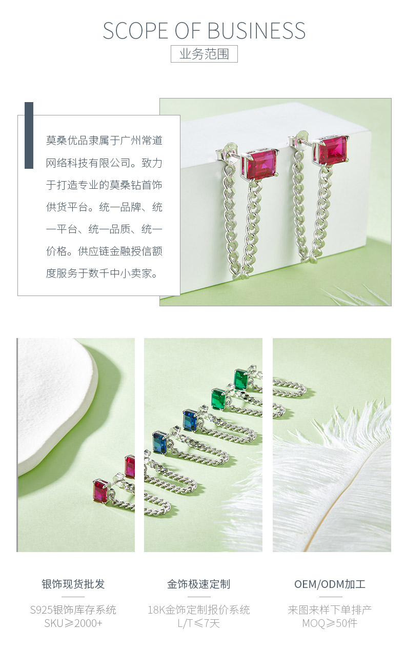 E1610 长方培育彩宝S925银镀白金耳环4.0CT - 3