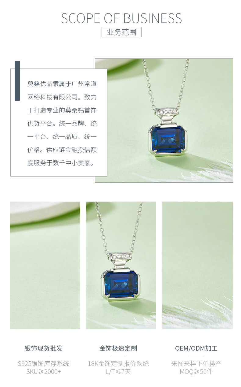 P1496DB 长方培育蓝宝石S925银镀白金项链4.0CT - 3