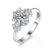 港码15