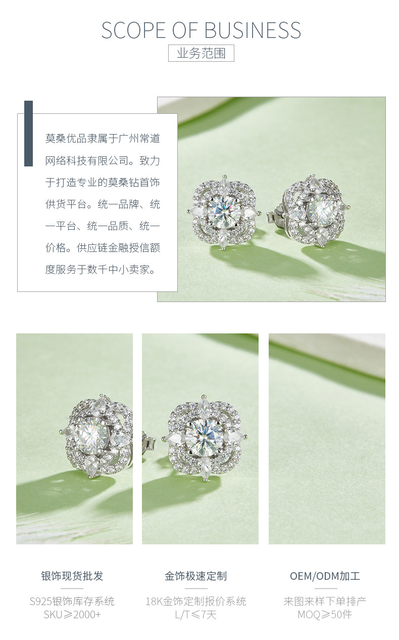 E221205026款S925银镀18K白金耳环莫桑钻主石5.0mm/1.0CT - 3