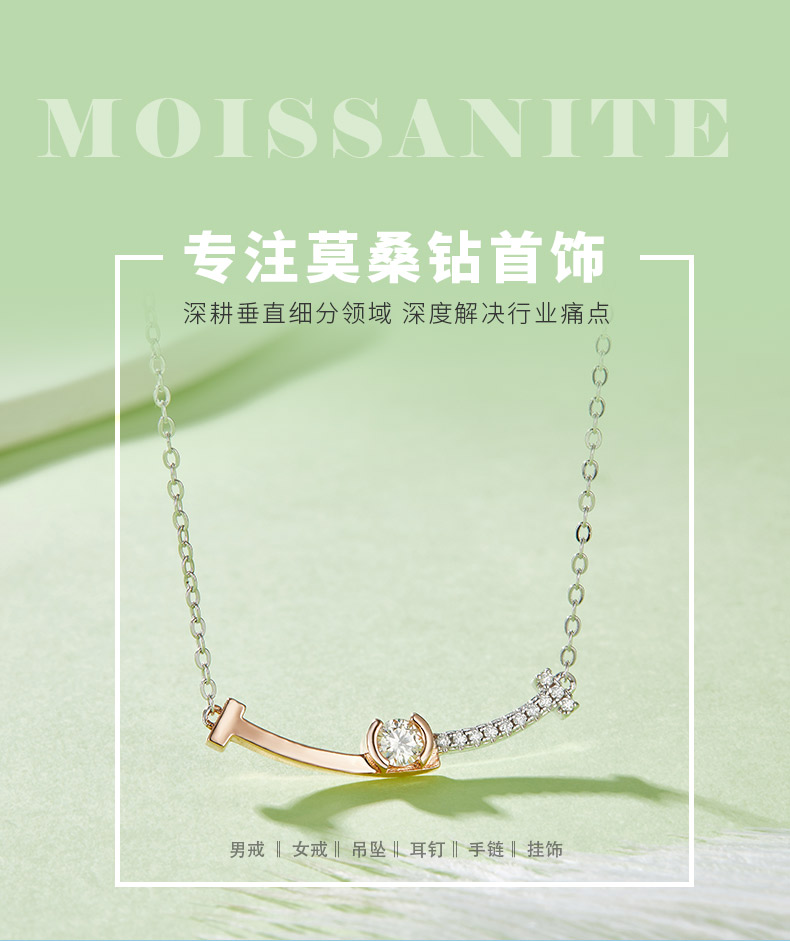 230129012款S925银镀18K双色莫桑钻项链3.5mm/0.2CT - 1
