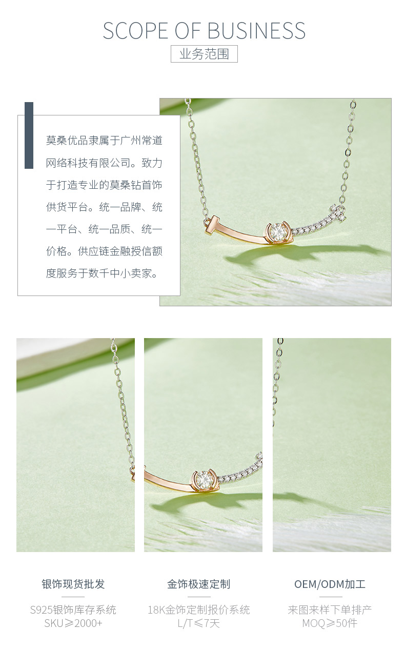 230129012款S925银镀18K双色莫桑钻项链3.5mm/0.2CT - 3