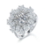 港码15