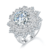 港码15