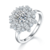 港码15