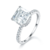 港码15