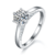 港码15