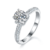港码15