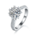 港码15
