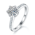港码15