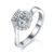 港码15