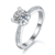 港码15
