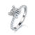 港码15