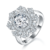 港码15