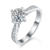 港码15