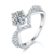 港码15