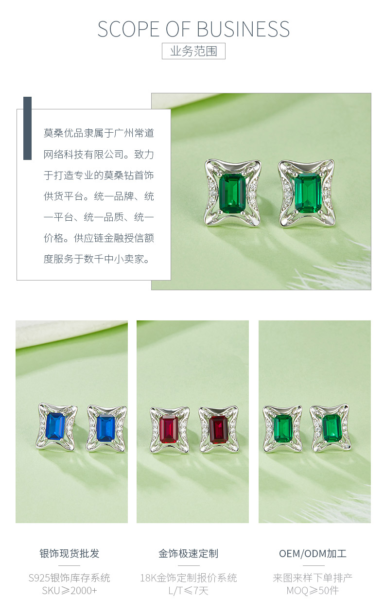 DSYE9款长方合成彩宝S925银镀白金耳钉4*6MM - 3