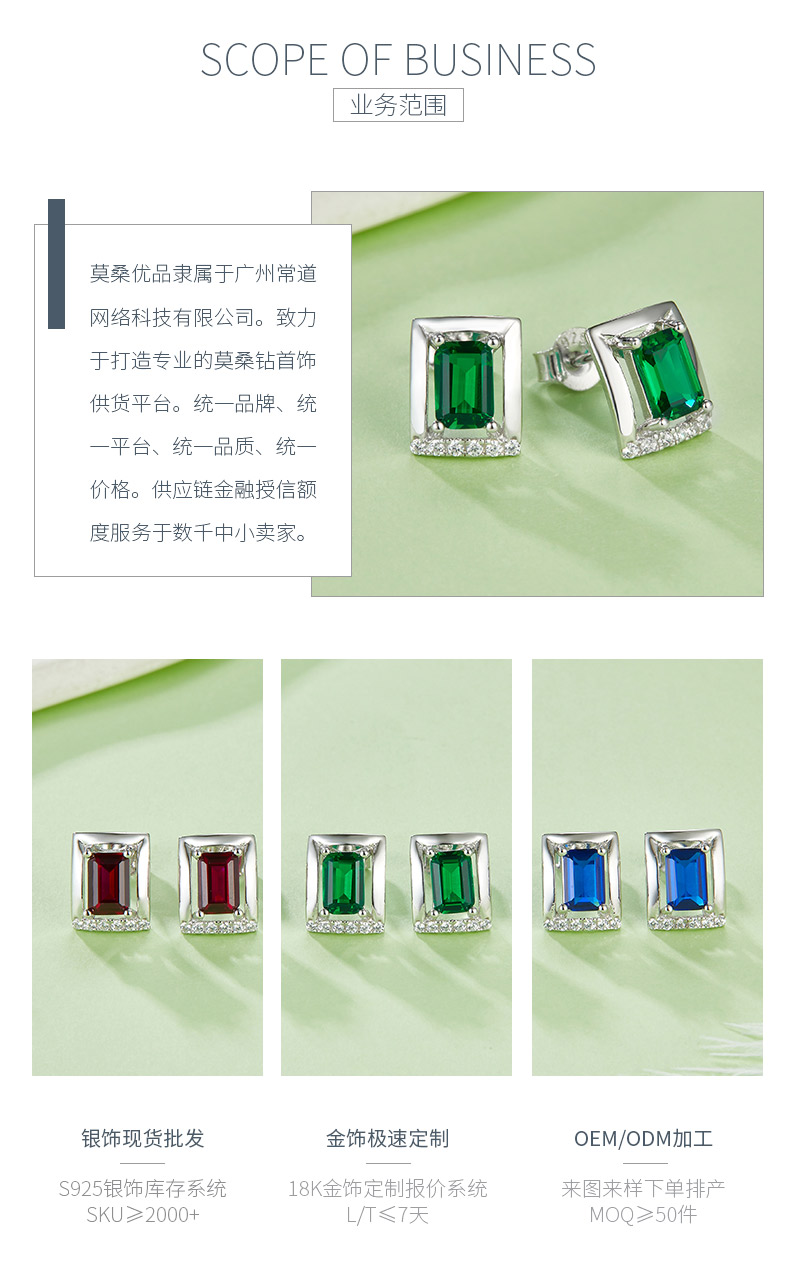 DSYE11款长方形合成彩宝S925银镀白金耳钉4*6MM - 3