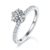 港码15
