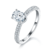 港码15