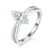 港码15
