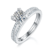 港码15