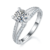 港码15
