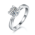 港码15