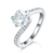港码15
