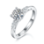 港码15
