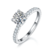 港码15