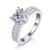 港码15