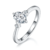 港码15