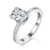 港码15