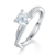 港码15