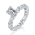 港码15