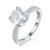 港码15