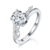 港码15