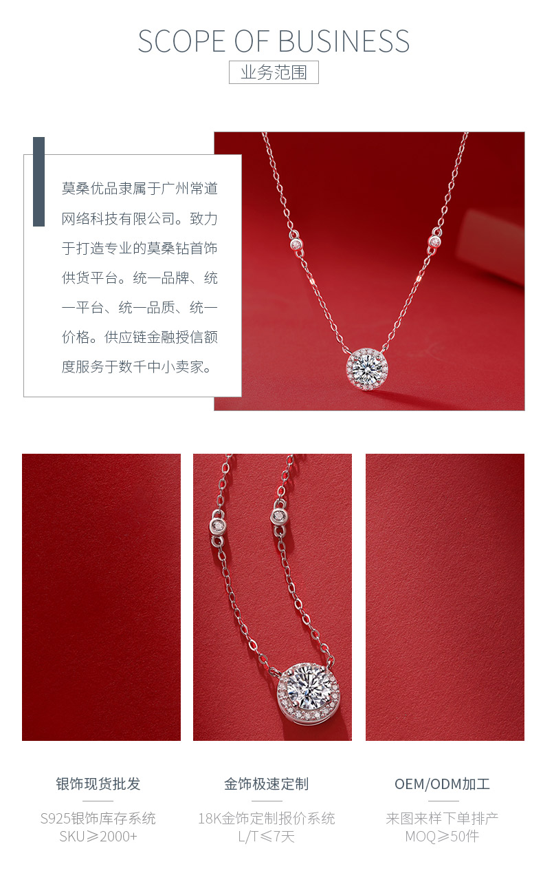N12343款银镀18K白金莫桑钻项链1.0CT - 3